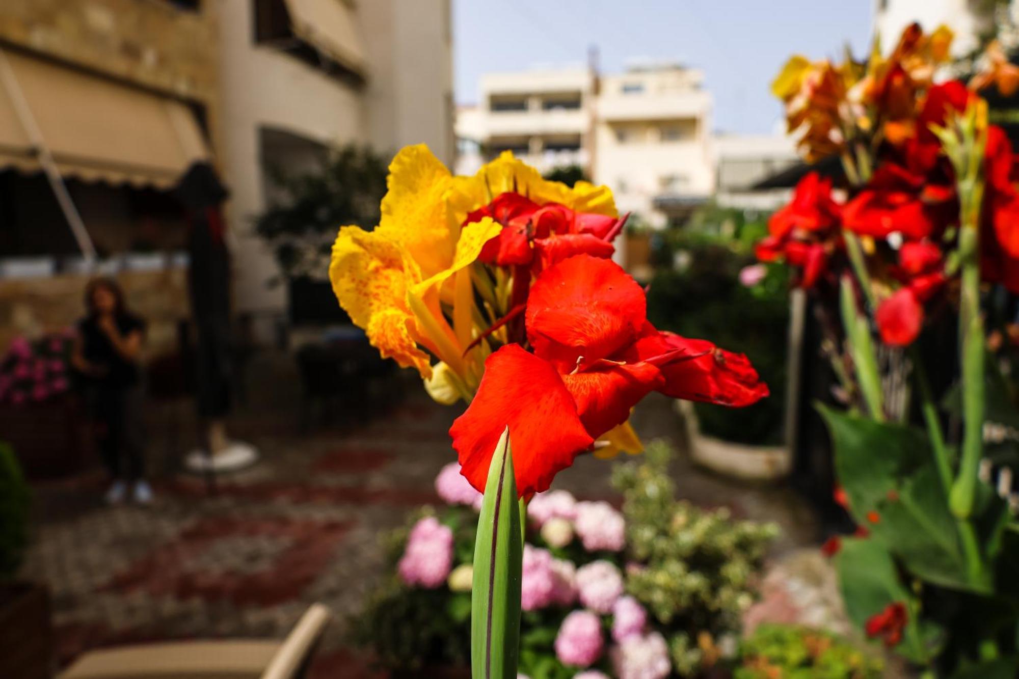 Vila Zhiti Durres Luaran gambar